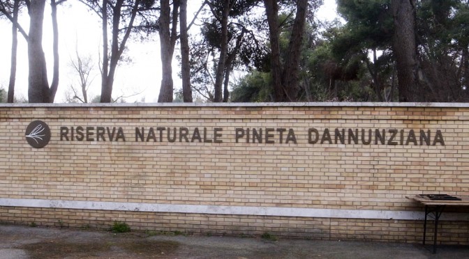 RISERVA NATURALE PINETA DANNUNZIANA