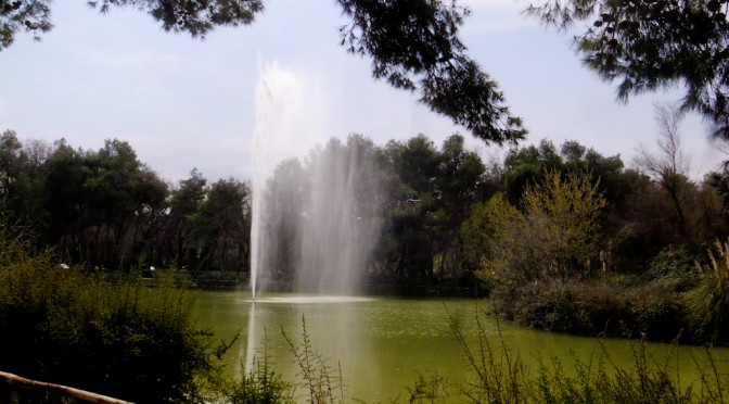 RISERVA NATURALE PINETA DANNUNZIANA #2