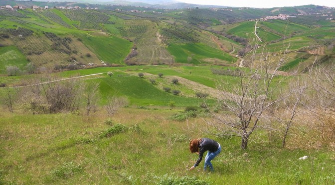 EASTER MONDAY: GIRL AND THE WILDFLOWERS