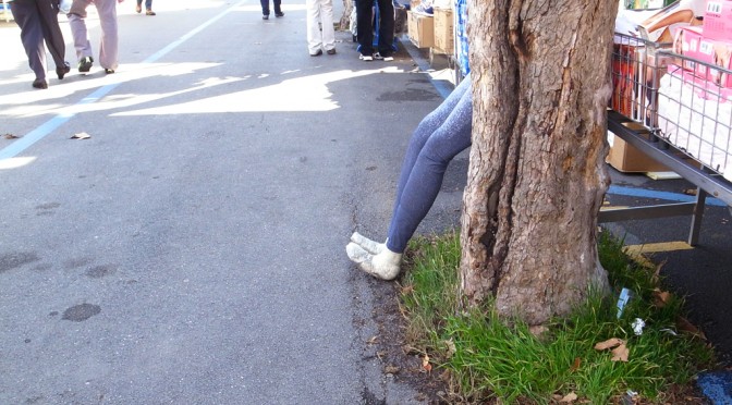 Legs to the marketplace this morning