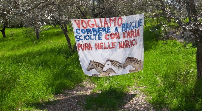 We want to run at full speed with the air in the nostrils