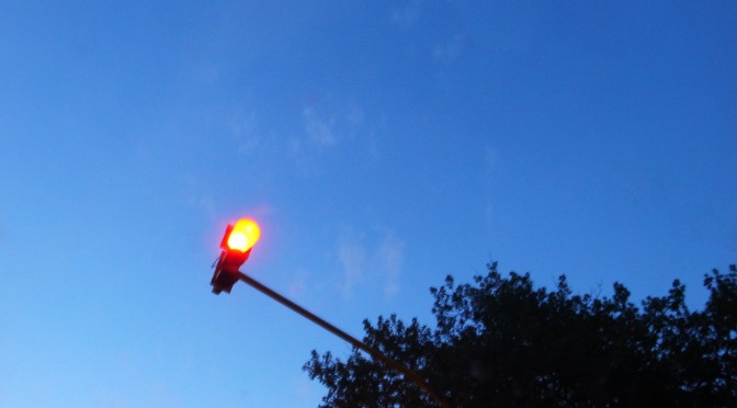 Red light from a tree