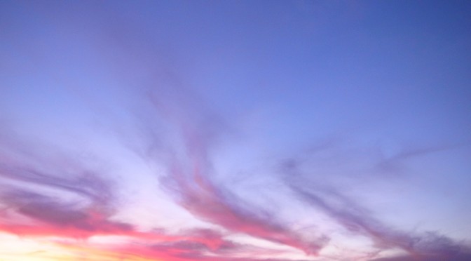 Sunset on one tree #2