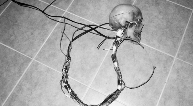 Skull used during the Nicola Antonelli show last night