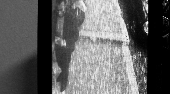 Ray Sugar Sandro out of my studio