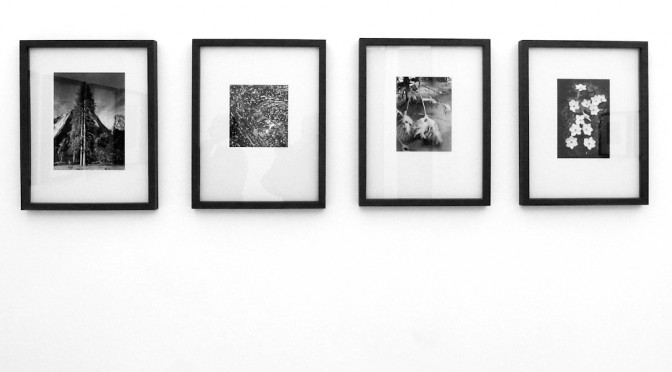 Ansel Adams show at the Rizziero Arte in Pescara #2