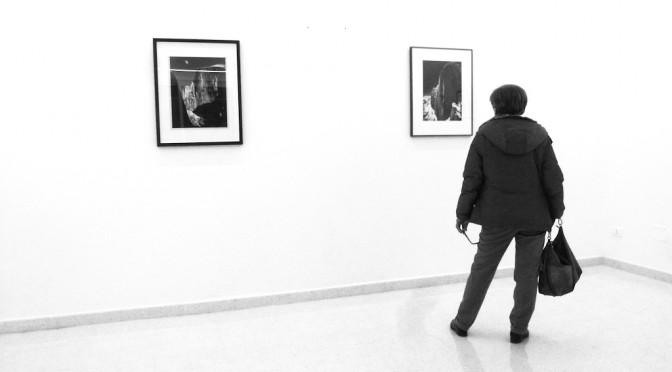 Visitor to the Ansel Adams show