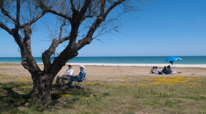 OLD AND YOUNG PEOPLE, LIBERATION DAY