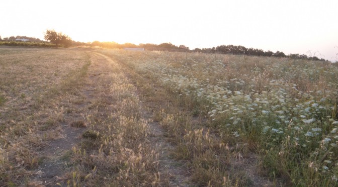 SUNSET ON THE FOSSO DEL DIAVOLO