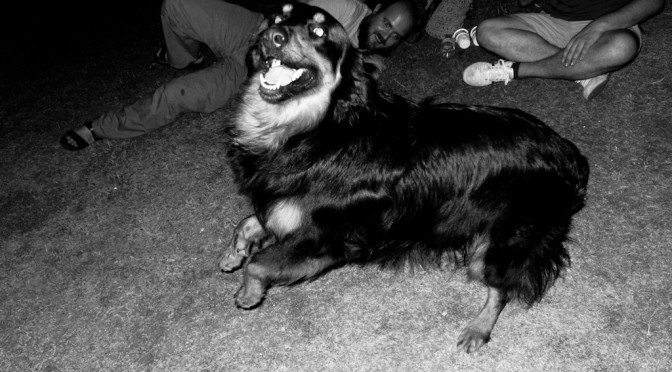 IVAN'S DOG WANTS TO PLAY WITH ME