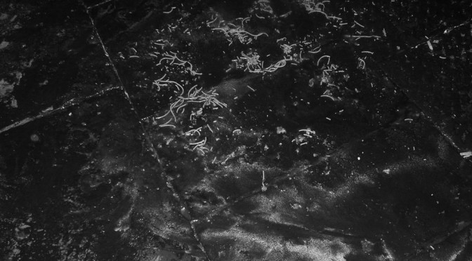 Waiting for Giuliano Palma & The Bluebeaters live